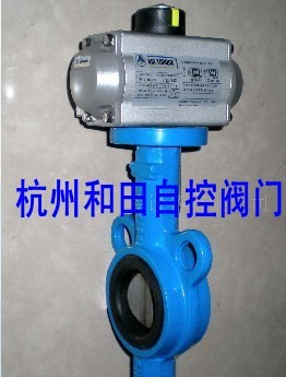 供应进口AT蝶阀 AIR TORQUE